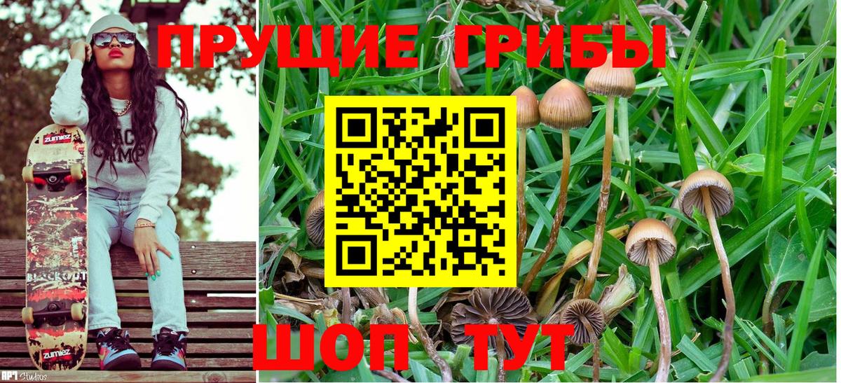 Сухой Лог  Псилоцибиновые грибы Cubensis  Псилоцибиновые грибы Magic Shrooms  Вход с VPN 